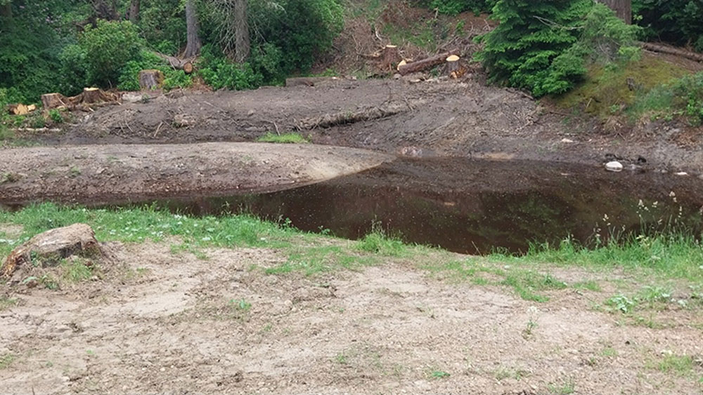 Debdon Burn North after