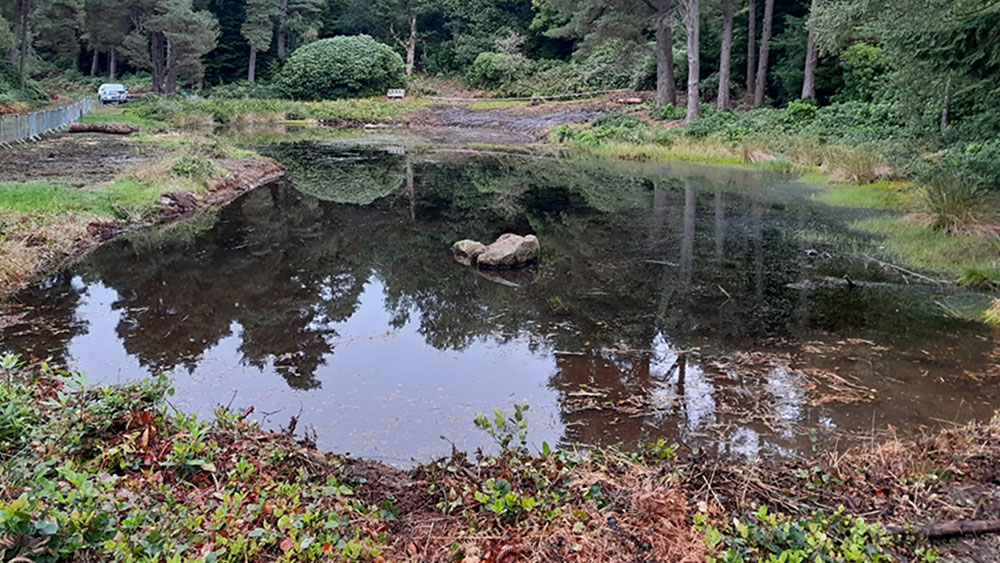 Slipper Lake after